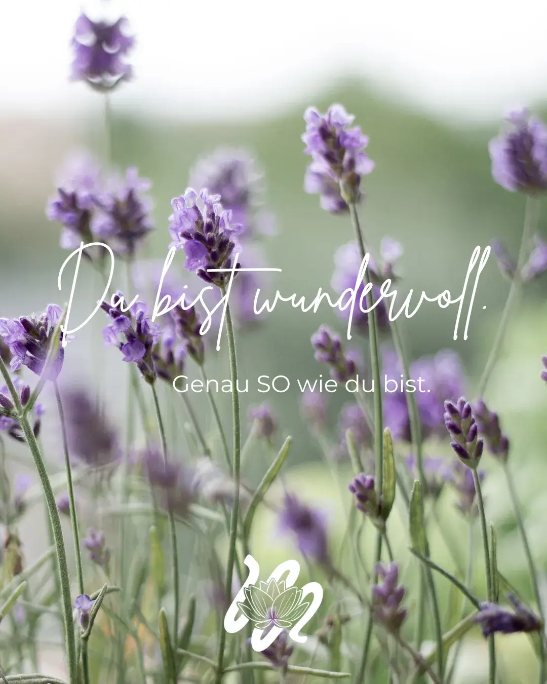 sarah-leiner-referenzen-sandra-teuchert-00006